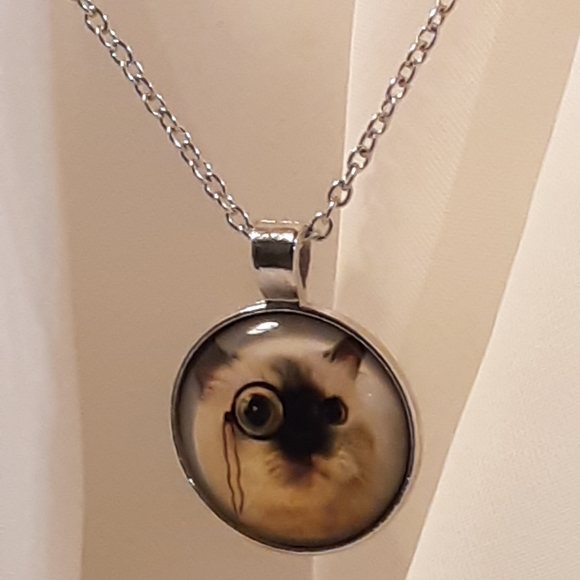 (G25) Cat with Specs Necklace 1" Silver Cabochon glass dome 16" chain - Picture 1 of 4
